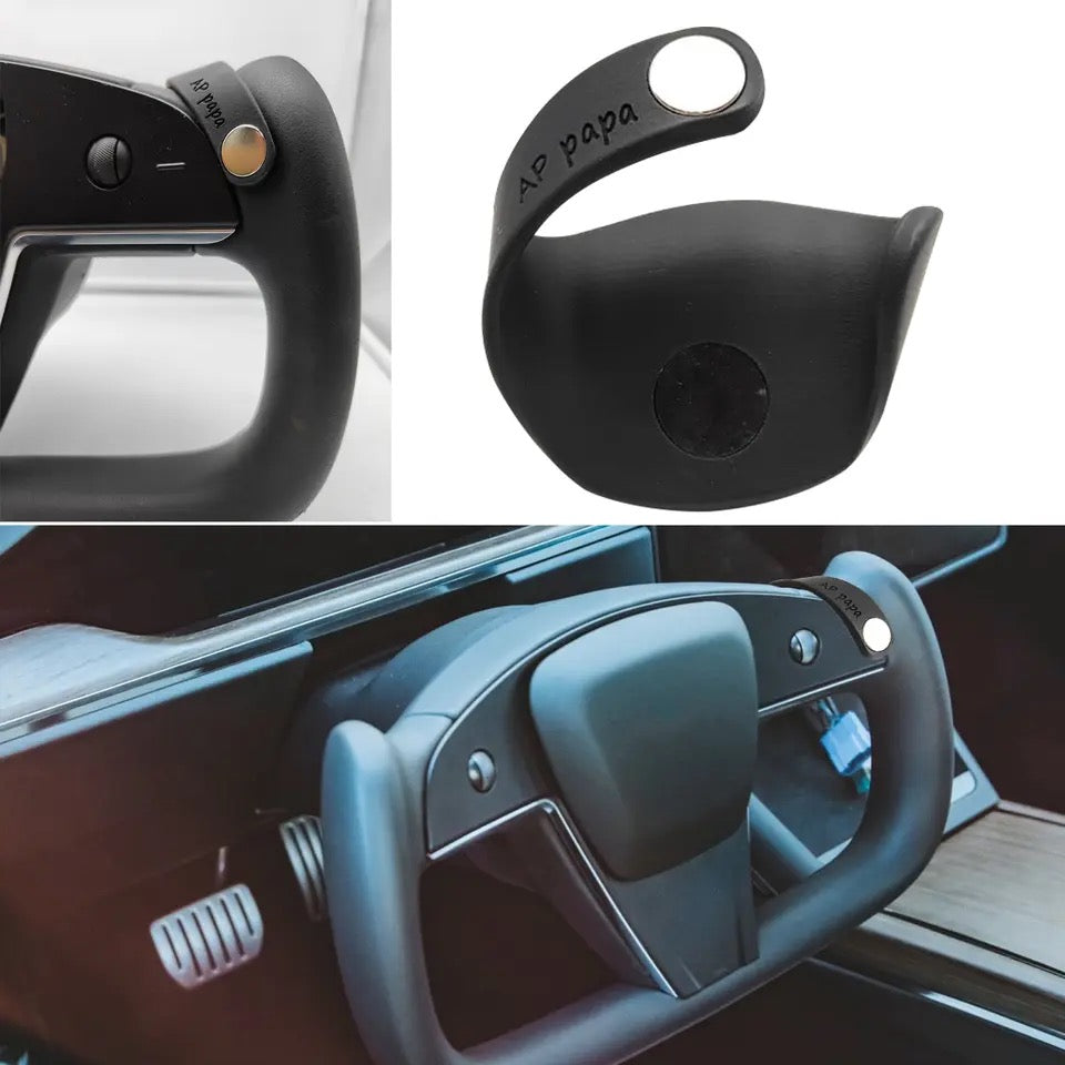 APpapa Assisted For Tesla Model S X